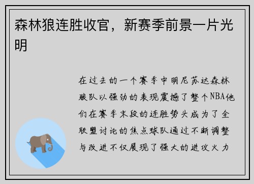 森林狼连胜收官，新赛季前景一片光明